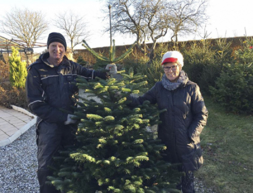 Juletravlhed hos familien Brandt