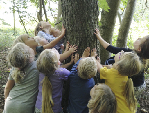 Skovuge med fordybelse og sjove oplevelser
