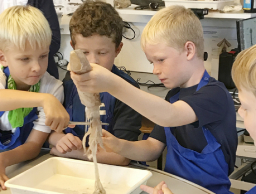 I aftenskole blandt hajer og rokker