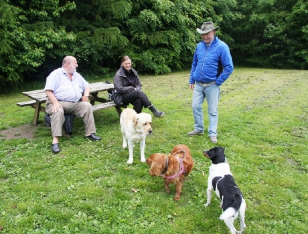 Galtens hundeskov har fået en venneforening